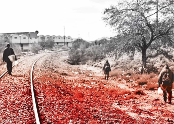 Sueño americano desafía al muro militarizado; Polleros profesionalizan servicios