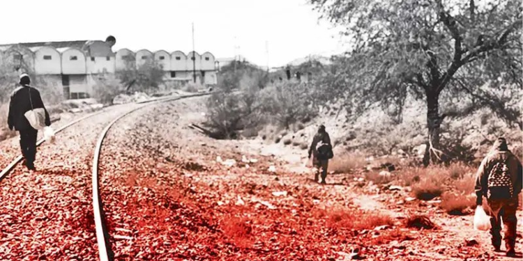 Sueño americano desafía al muro militarizado; Polleros profesionalizan servicios