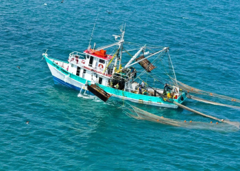 “No podemos hablar de sustentabilidad si no se resuelve la pesca ilegal”: director de consultora Humint