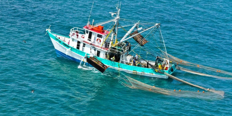 “No podemos hablar de sustentabilidad si no se resuelve la pesca ilegal”: director de consultora Humint