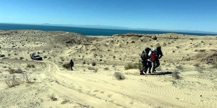 Hallan restos humanos en Golfo de Santa Clara, Sonora