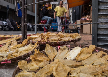 Cómo los cárteles mexicanos y las redes criminales chinas están moviendo la “cocaína del mar” a través de los puertos canadienses