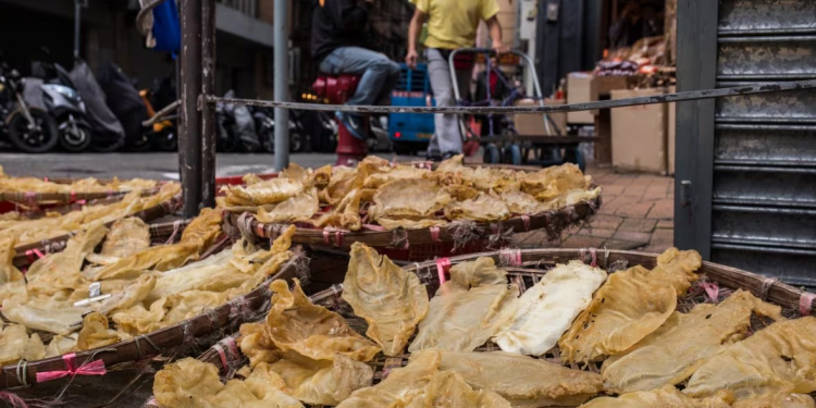 Cómo los cárteles mexicanos y las redes criminales chinas están moviendo la “cocaína del mar” a través de los puertos canadienses