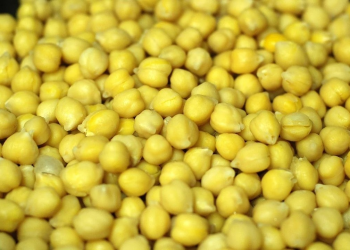 Comercializadores no respetan precio pactado del garbanzo sinaloense para exportación, denuncian campesinos