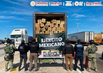 Cae en Sonora sujeto con 32 kilos de fentanilo oculto en cargamento de nopales