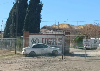 Suspenden exportación de ganado a EU por la frontera de Nogales; fueron detectadas llagas en un animal