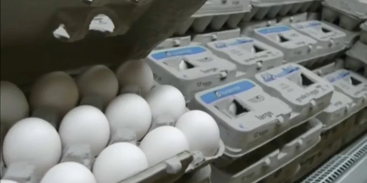 Aumento en el precio del huevo dispara contrabando en la frontera de Arizona con México