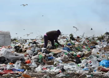 En Sonora, se recolectan 2 mil 393 toneladas de basura diarias