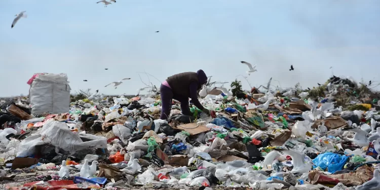 En Sonora, se recolectan 2 mil 393 toneladas de basura diarias