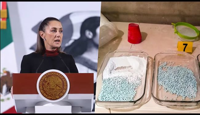 ONU contradice a Sheinbaum: Alerta que México se está convirtiendo en un país consumidor de fentanilo