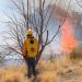 Sonora reporta reducción del 60% en incendios forestales