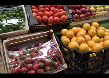 Exportadores de agroalimentos, afectados por aranceles del 25% impuestos por EU