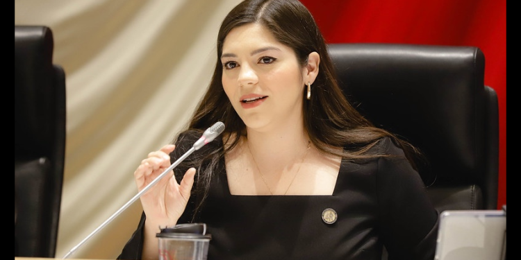 Diputada Amairany Peña impulsa la telemedicina