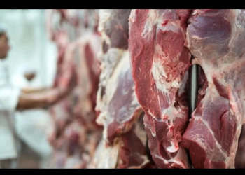 Brasil se consolida como el mayor productor y exportador de carne