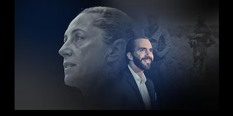 Bukele preguntó a Grok, la IA de X, quién es el presidente más popular y le respondió que Sheinbaum