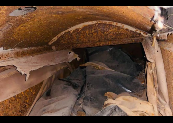 Ceci Flores reporta profanación de tumbas para ocultar desaparecidos en Sonora; “la maldad no tiene límites”, acusa