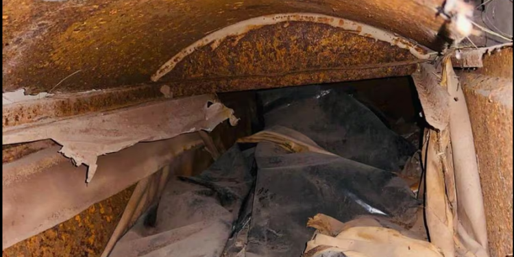 Ceci Flores reporta profanación de tumbas para ocultar desaparecidos en Sonora; “la maldad no tiene límites”, acusa