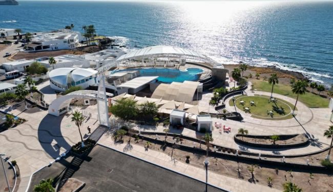 CEDES da a conocer plan de trabajo 2025-2027