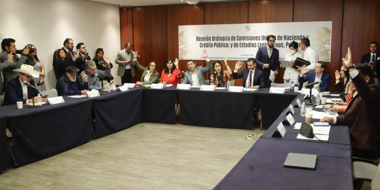 Alistan reforma para exportar pez totoaba; surge controversia