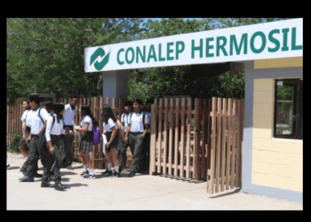 Quebranto financiero en ISEA y Conalep Sonora: una historia de irregularidades y omisiones