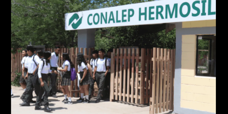 Quebranto financiero en ISEA y Conalep Sonora: una historia de irregularidades y omisiones