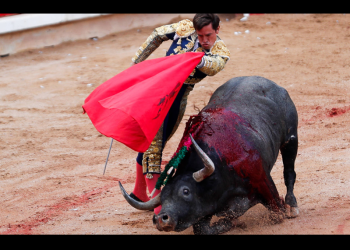 Presidenta mexicana respalda corridas de toros, pero propone que se debe evitar el maltrato animal