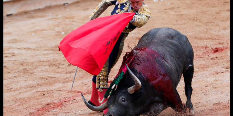Presidenta mexicana respalda corridas de toros, pero propone que se debe evitar el maltrato animal
