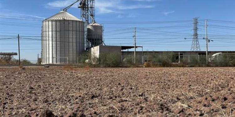 Guarden el agua… de una: Científicos alertan que La Niña provocará una grave sequía en México