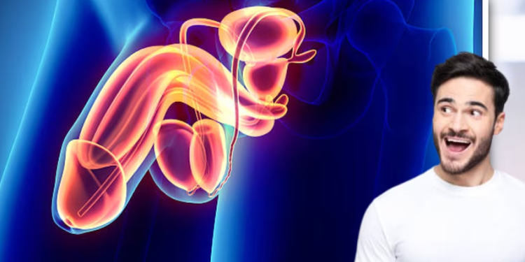 Día Mundial del Pene: mitos que pueden afectar la salud del miembro masculino