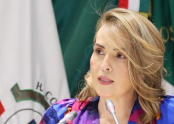Propone diputada Marcela  “Maval” Valenzuela incrementar penas a quien violente a mujeres embarazadas y personas con discapacidad