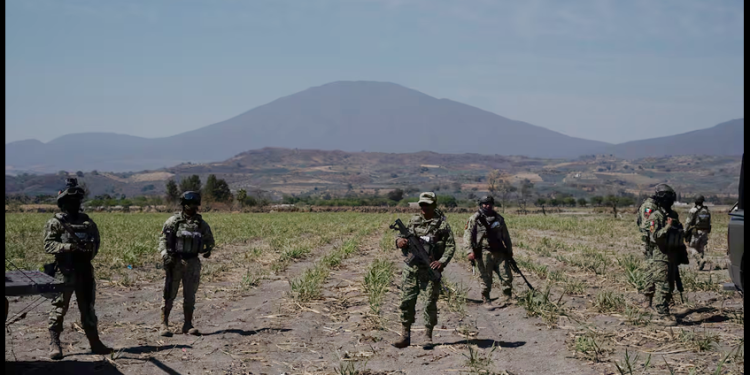 Encuesta | La inseguridad se consolida como principal preocupación para los mexicanos, en medio de la polémica por el ‘caso Teuchitlán’