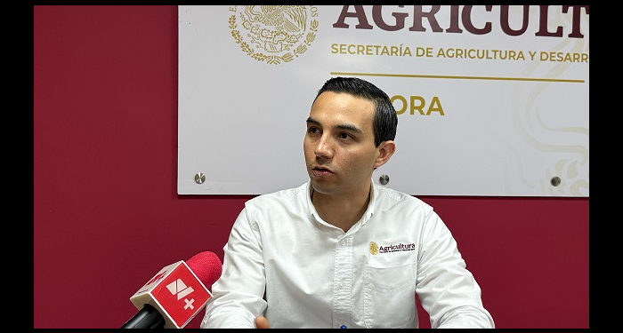 Exámenes realizados a ganado en Nogales salen negativos a la fiebre aftosa