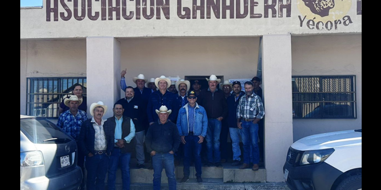 Actualiza Gobierno de Sonora a técnicos y productores sobre exportación de ganado