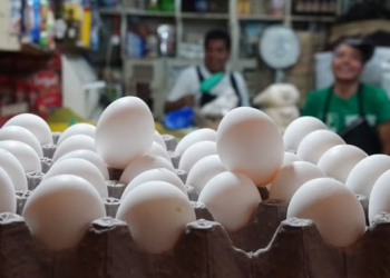 México ‘saca del apuro’ a EU: Se convierte en el principal exportador de huevo en medio de escasez