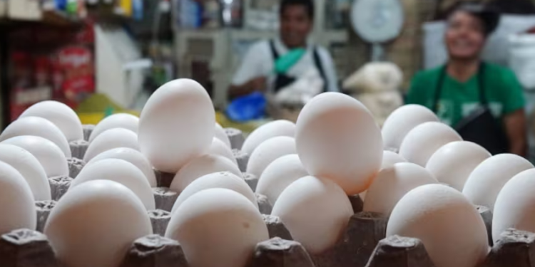 México ‘saca del apuro’ a EU: Se convierte en el principal exportador de huevo en medio de escasez