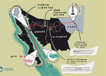 El tránsito de buques amenaza ballenas: Investigador