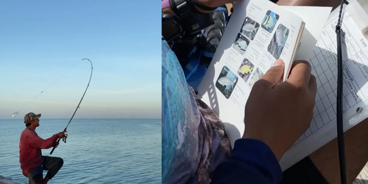 Así funciona un refugio pesquero en el Golfo de México. Su meta: dejar descansar al mar