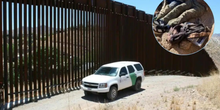 Patrulla Fronteriza detiene a 5 presuntos miembros de “Los Memos” en Arizona, EU