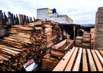 Lanza Trump nueva amenaza arancelaria para importación de madera