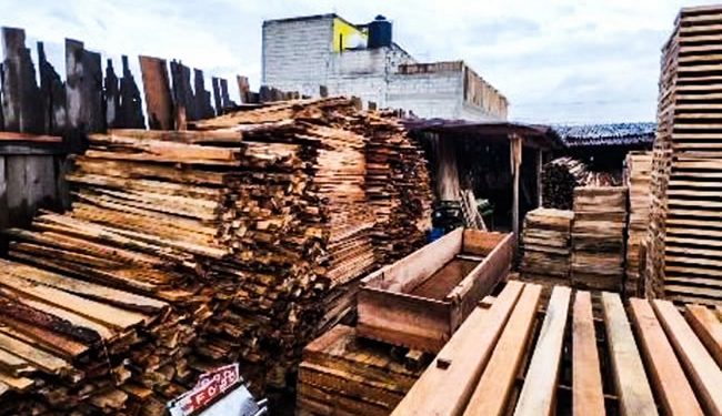 Lanza Trump nueva amenaza arancelaria para importación de madera