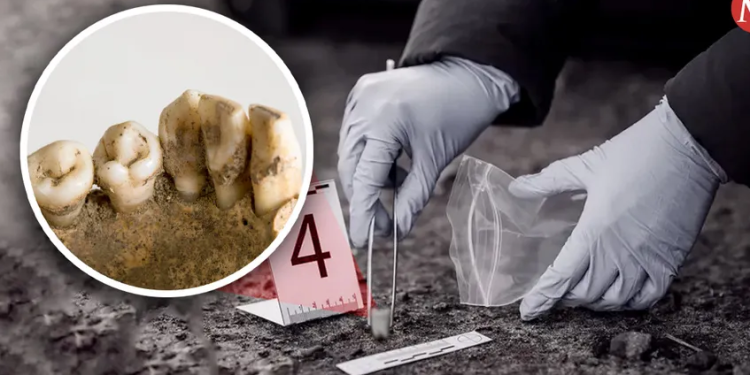 Odontología forense: los dientes como llave para la identificación de personas en México