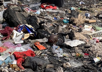 Hallan decenas de cuerpos de perros y gatos en el norte de Hermosillo