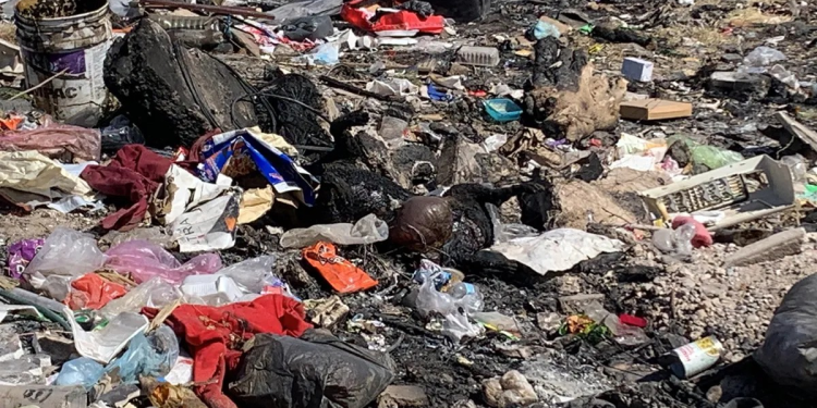 Hallan decenas de cuerpos de perros y gatos en el norte de Hermosillo