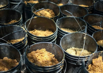 Mil detenidos y 56 kilos de fentanilo decomisados en la frontera con EU en últimos 26 días