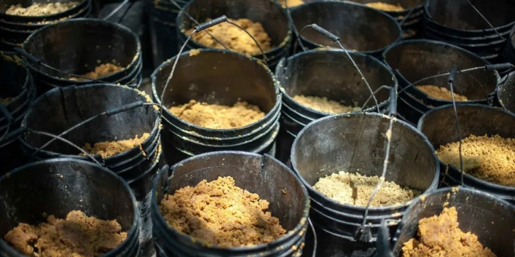 Mil detenidos y 56 kilos de fentanilo decomisados en la frontera con EU en últimos 26 días