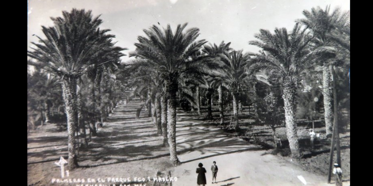 El joven de la camisa blanca