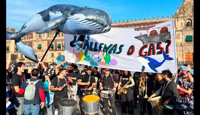 Proyecto Saguaro enfrenta 5 juicios de amparo y revisión de autoridades ambientales