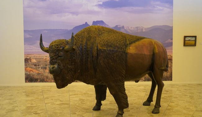 EL FOTÓGRAFO CUAUHTÉMOC PIÑA OFRECERÁ UNA VISITA Y UNA CHARLA SOBRE SU EXPOSICIÓN ZONA DE BISONTES