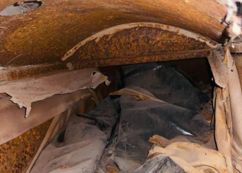 Ceci Flores reporta profanación de tumbas para ocultar desaparecidos en Sonora; “la maldad no tiene límites”, acusa