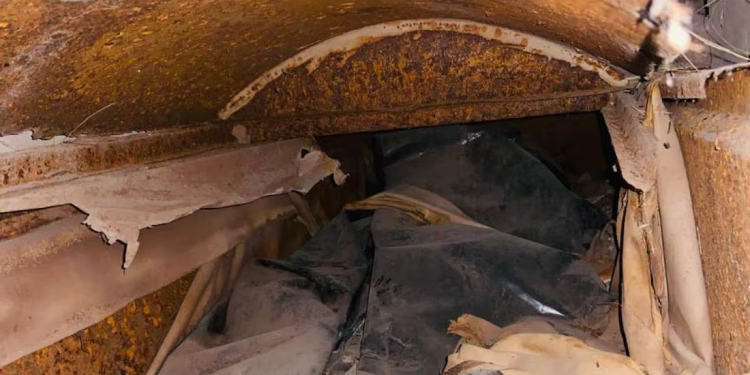 Ceci Flores reporta profanación de tumbas para ocultar desaparecidos en Sonora; “la maldad no tiene límites”, acusa